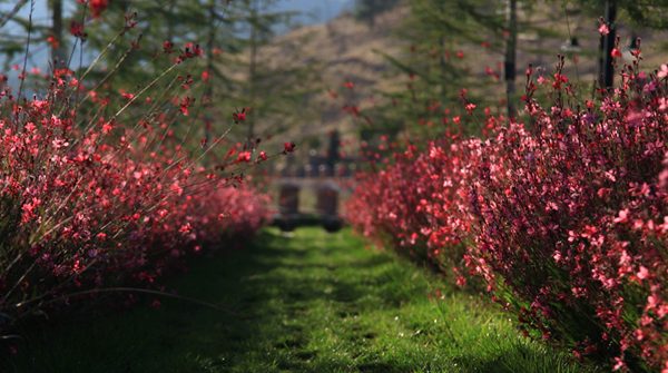 Termal Tatil Köylerinin Avantajları